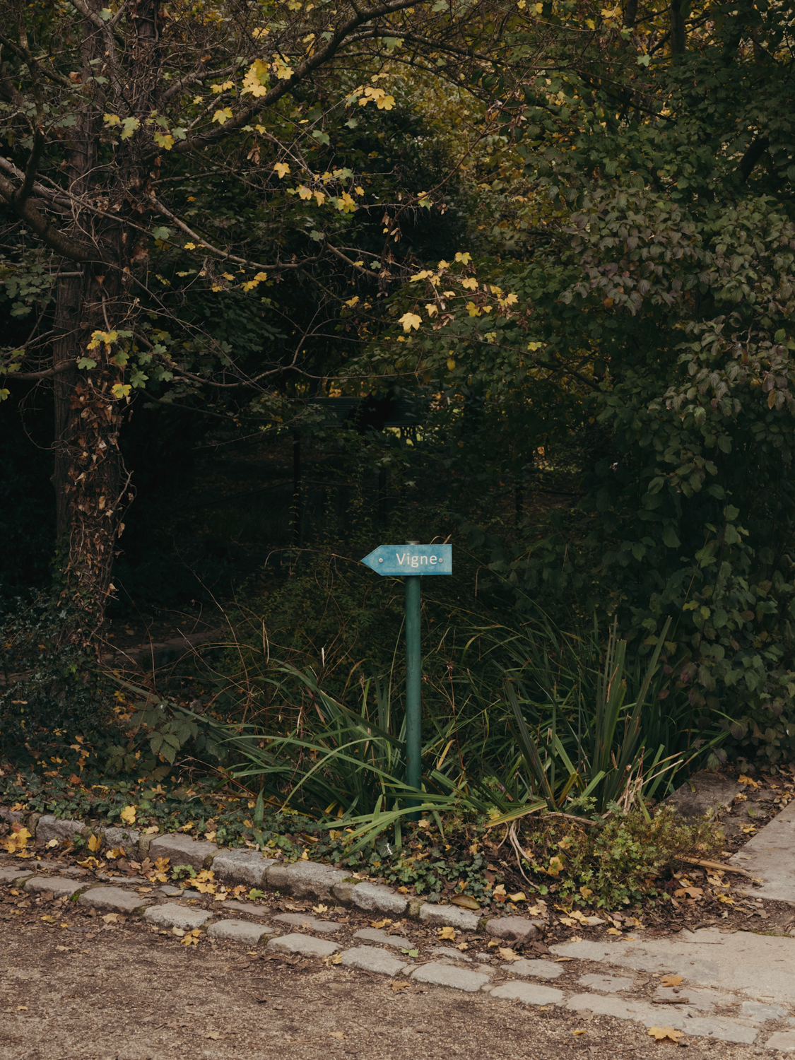 ©Clémentine Belhomme