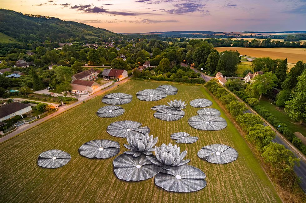 Saype Giverny Nympheas