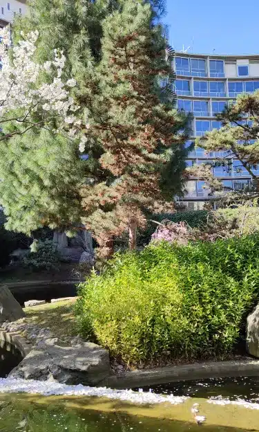 Jardin Noguchi Unesco